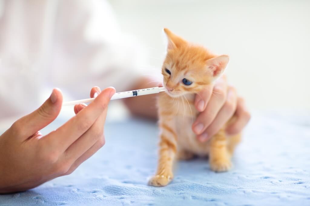 Vaccinations