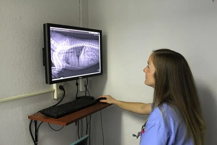 X-rayImaging