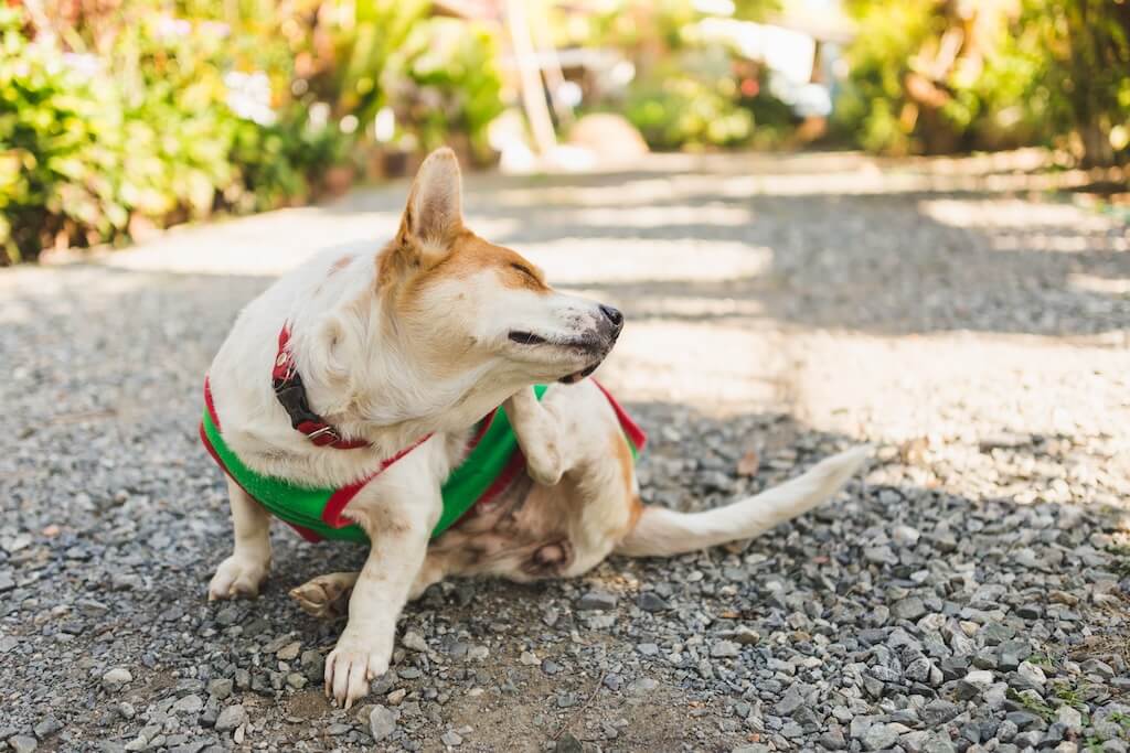 shutterstock_350318324